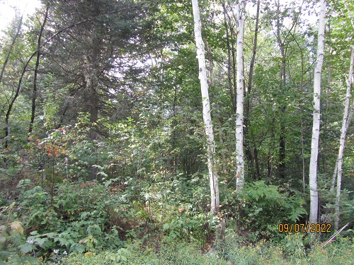 lake front property for sale