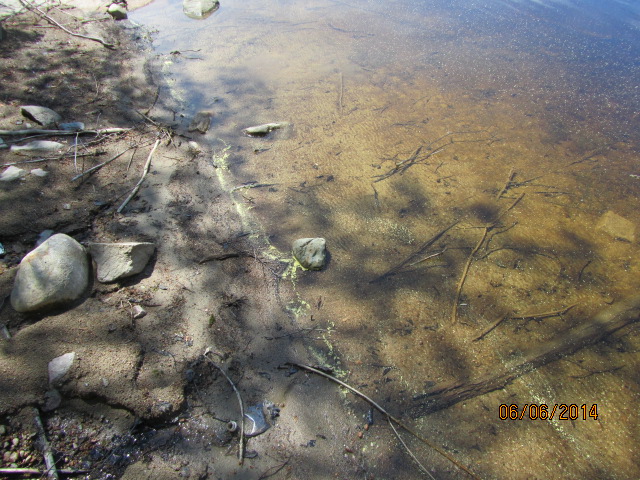 lake front property for sale