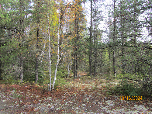 lake front property for sale